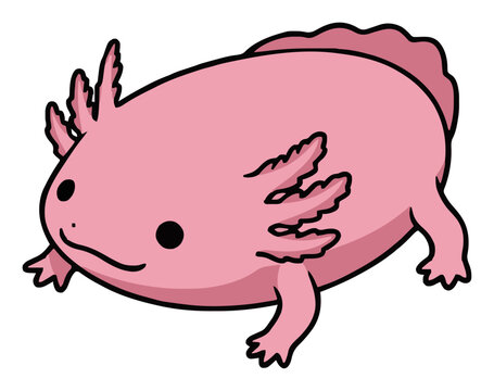 Cute axolotl salamander isolated on white background. Generative AI