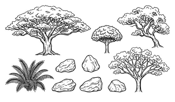 Rain Tree Samanea Saman with Fern Bush and Rocks Botanical Vector Set