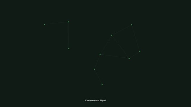 Scattered data points travel inward into a connected form before dissolving back into scatter&mdash;a point-and-line constellation of environmental data becoming signal. Seamless 4K loop.
