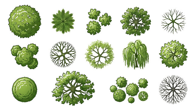 Top view tree and bush icon set featuring various green garden plants, weeping willow foliage, tree bare branch symbols, topiary bushes, and landscape architectural plan elements isolated on black bac