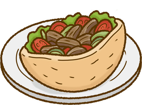 Delicious Shawarma Wrap Vector Illustration
