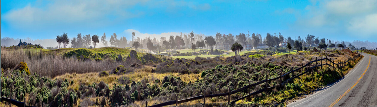 driving on ca1 Cabrillo hioghway in scenic foggy untouched landscape in california