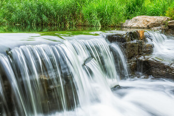 A small cascading waterfall flows over dark wet rocks, surrounded by lush green reeds in a natural outdoor setting. © tai