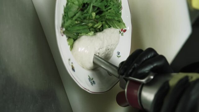 Vertical video. Chef plating. Gourmet food. Gloved hand serving green leaves beans salad adding white mousse sauce from cream siphon.