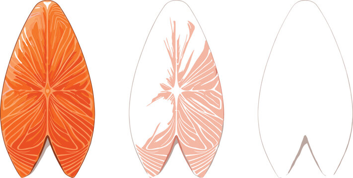 Fresh salmon steak slice icon set showing raw fish fillet texture with colored and linear design variations