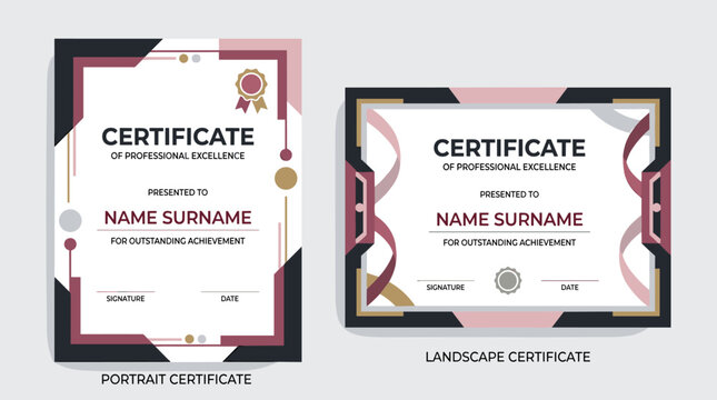 Certificate of professional excellence award for outstanding achievement in portrait and landscape orientation, a graphic design representing recognition and accomplishment in various fields