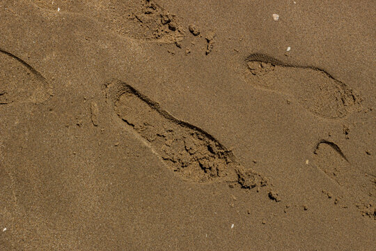 Footprints on sandy beach showing a path from the shore toward the water at midday