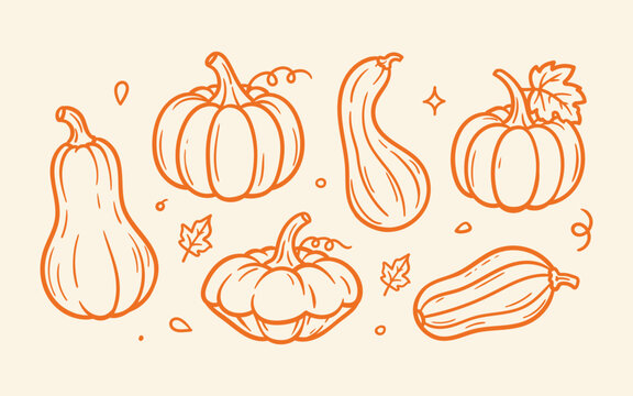 Orange line art collection of various autumn squashes, gourds, pumpkins, and falling leaves.