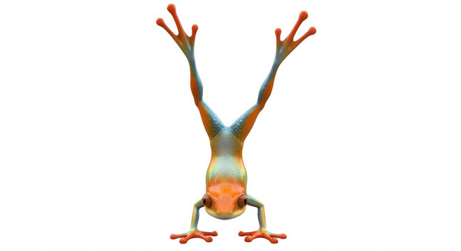 colorful tree frog doing a handstand isolated on white background suggesting concepts like balance or agility illustrations