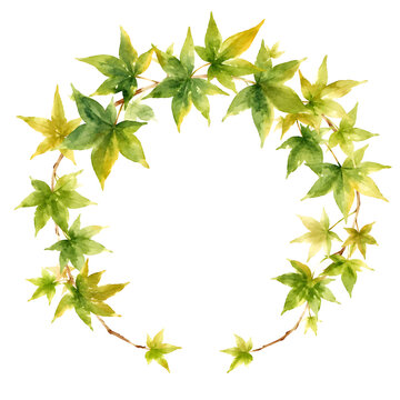 A broken ring wreath of sweetgum star-shaped leaves, the circle left open across the
