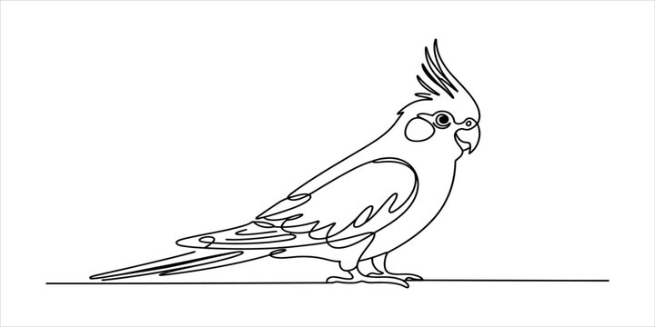 Cockatiel bird drawing made with a single continuous line style for a simple minimalist logo or creative icon design