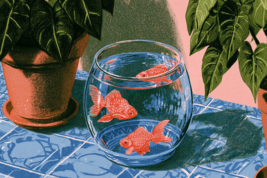 Vintage Summer Goldfish Bowl With Plants on Blue Tile editorial illustration