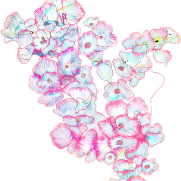 花001