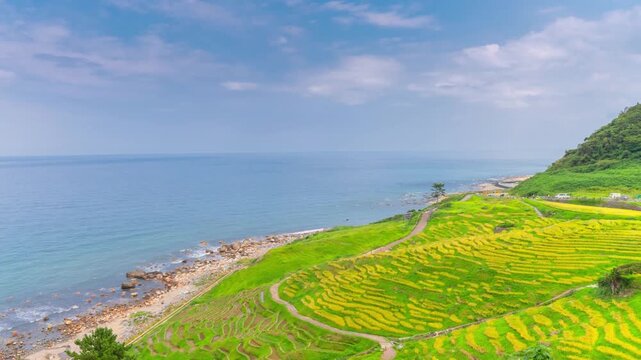 石川県・能登半島 白米千枚田 タイムラプス　