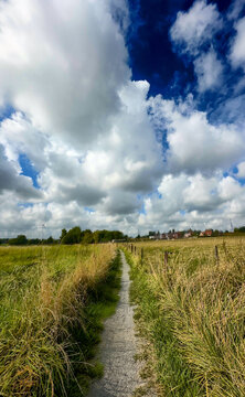 Sundappled pathway weaving through lush grasslands and billowing clouds