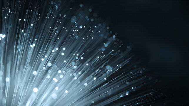 Ultra-premium commercial background featuring thousands of extremely fine luminous fiber optic strands emerging from a darkened lower foreground 
