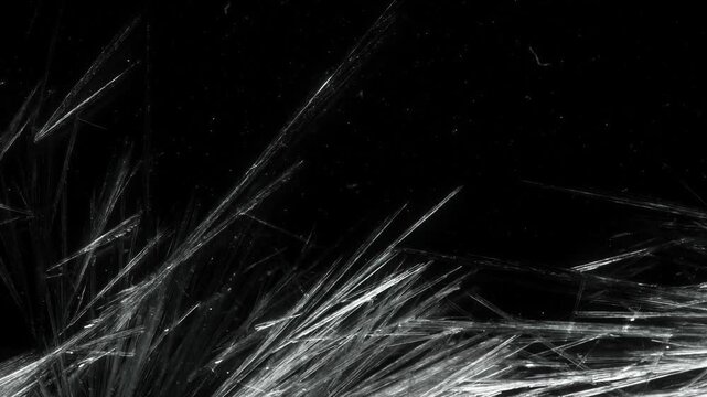 Sparse Sodium Acetate Crystal Needles on a Black Background