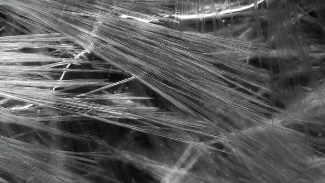 Overlapping Sodium Acetate Crystal Bundles in Close Up