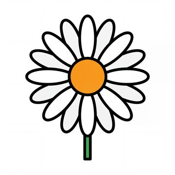Simple daisy flower illustration isolated on white