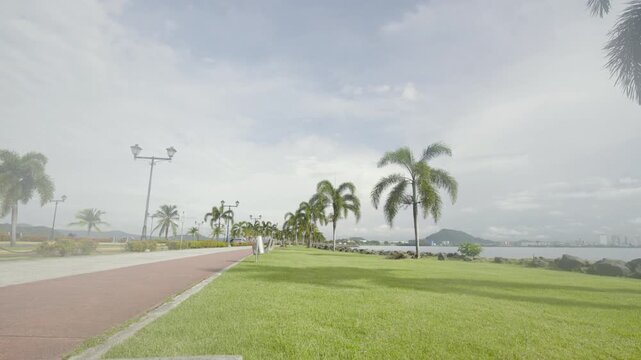 Wide paved road flanked by wide green grass and a row of palm trees that extends to the horizon
