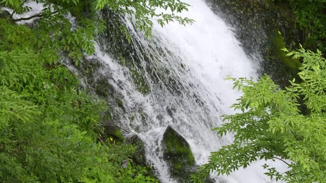 Beautiful fast falling water framed by lush summer greens in Japan
