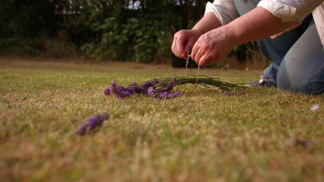 Hand tying bunch of lavender flowers with string for drying medium 4k shot slow motion selective focus