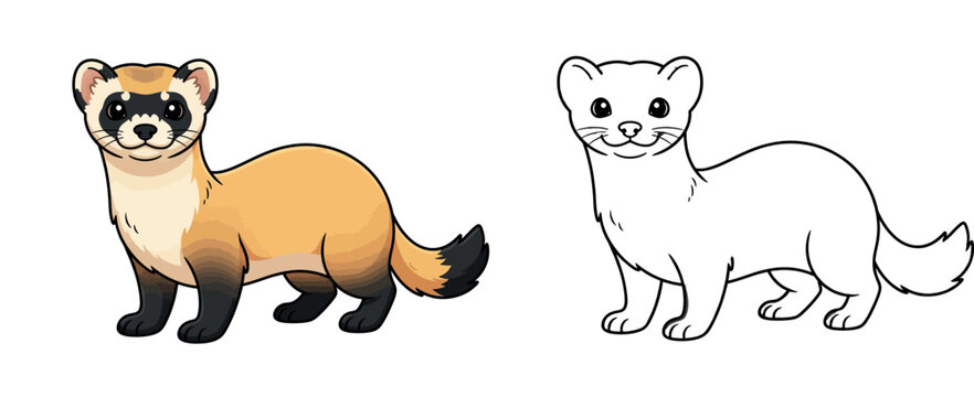 Cute Black Footed Ferret Illustration coloring page