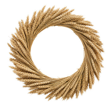 Beautiful golden dry wheat ears arranged in a circular wreath shape, creating a natural frame on a clean white background