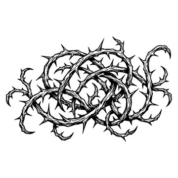 Intertwined thorny branches with sharp spikes, dark and edgy design.