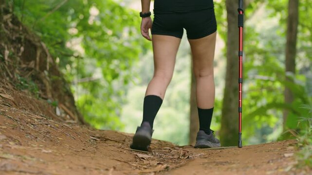 Close-up of person hiking on forest trail wearing sport shoes and black socks with walking stick on dirt path surrounded by green trees