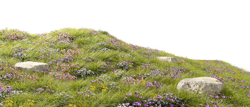 Nature flowery hills blossoms landscape cut out backgrounds 3d rendering png file