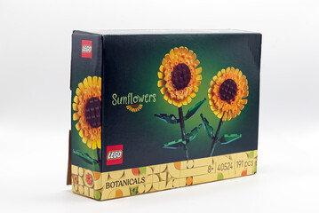 Fototapeta premium Bologna - Italy - September 2, 2026: Lego botanicals sunflowers building toy set box item 40524 isolated on a white background.