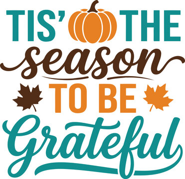 Tis the season to be grateful typography, autumn greeting quote, festive harvest text design, fall holiday vector poster.