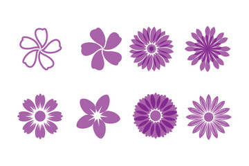 Fototapeta premium Set of eight purple flower with various petal shapes and styles isolated on a white background, for projects