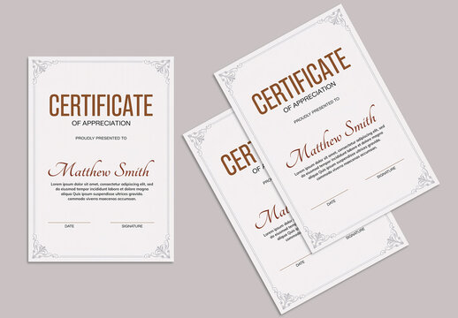 Professional Multiple Certificate Display Mockup