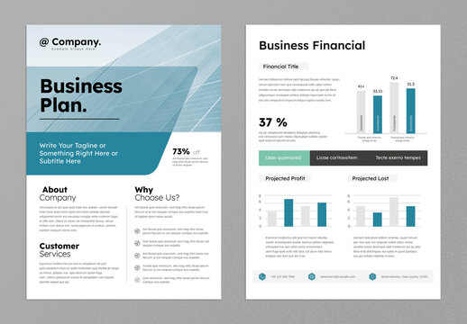 Business Plan Flyer Design