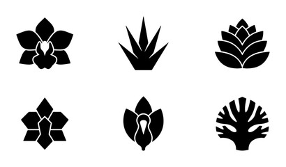 Fototapeta premium Botanical Icons Set, Floral Silhouettes Collection, Nature Elements Vector Graphics, Orchid and Succulent Symbols