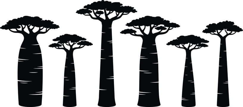 African Baobab Tree Silhouette Vector Set with Various Traditional Trunk Shapes for Madagascar Nature Landscapes and Safari Wildlife Graphic Designs