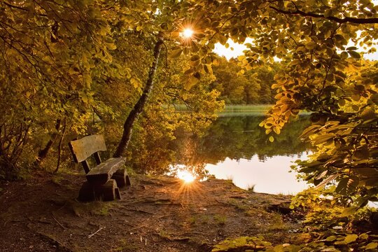 Autumnal landscape with wooden bench at the lake.