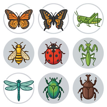Collection of diverse insect icons isolated on white background