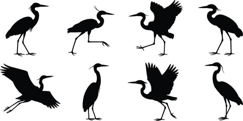 Fototapeta premium Collection of black silhouettes of herons and cranes in various poses, including standing, walking, and flying, isolated on a white background, for use