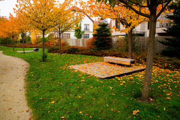 Obraz premium Wooden garden bench in fresh misty autumn park 
