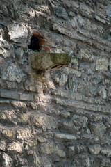 A medieval gutter or corbel, a stone element protruding from the ancient stonework of a castle or fortress wall. © SKfoto GE