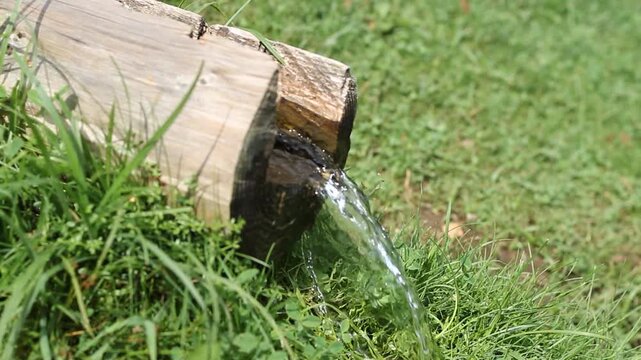 Fontana realizzata in un tronco d'albero con acqua che scorre