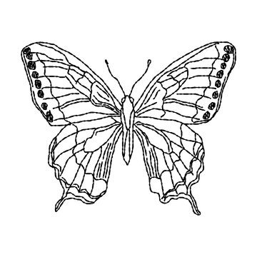 Hand drawn swallowtail butterfly line art, ink pen bleeding brush texture sketch, black and white insect