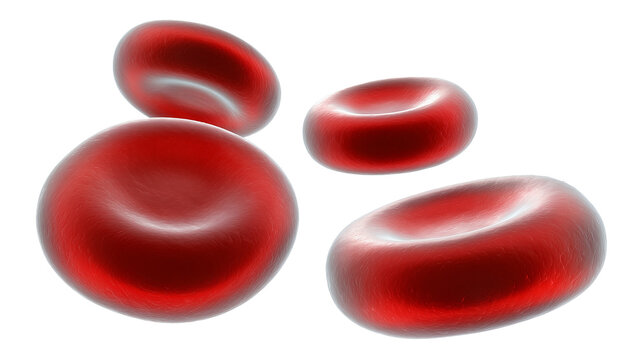 Group of red blood cells biconcave discs, isolated on transparent background