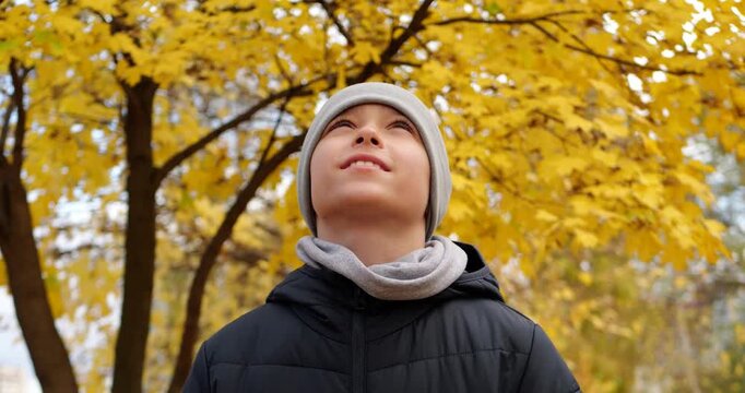 Young boy enjoys autumn scenery with vibrant yellow leaves. Child looks up with wonder, capturing essence of nature's beauty. This joyful moment highlights childhood innocence in a beautiful park.