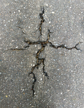 Cracked asphalt surface shows detailed texture and wear
