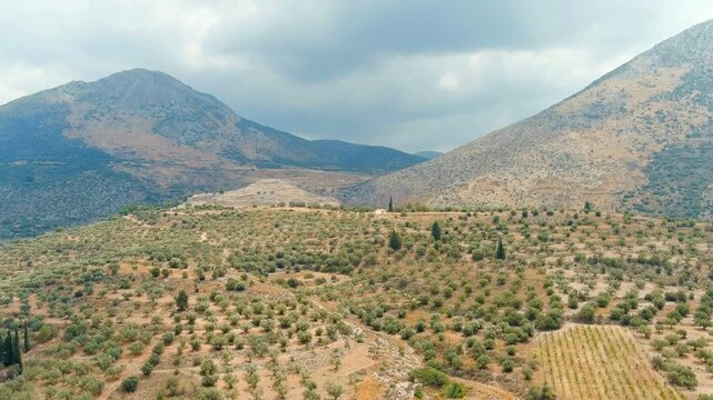 Mycenae, Greece. The ancient citadel and acropolis ruins, aerial panoramic view over the olive-covered Argolic plain with dramatic mountainous backdrop under overcast sky. Drone footage