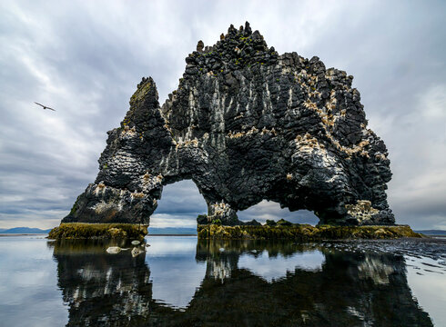 Hvitserkur volcanic rock - Iceland